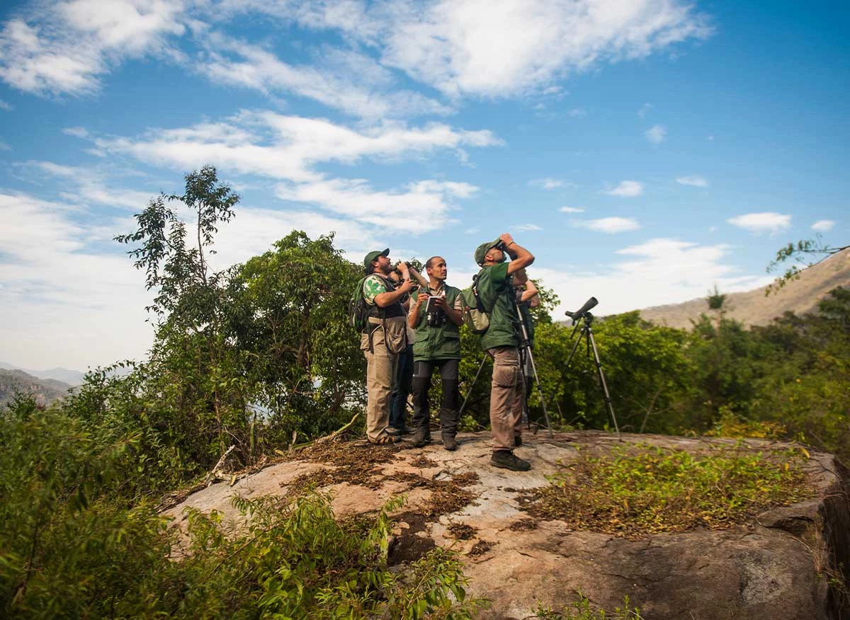 Observación de aves en el Refugio de Vida Silvestre Laquipampa, Lambayeque