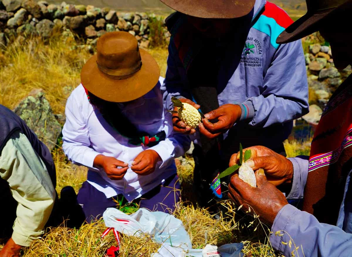 Pago a la Tierra