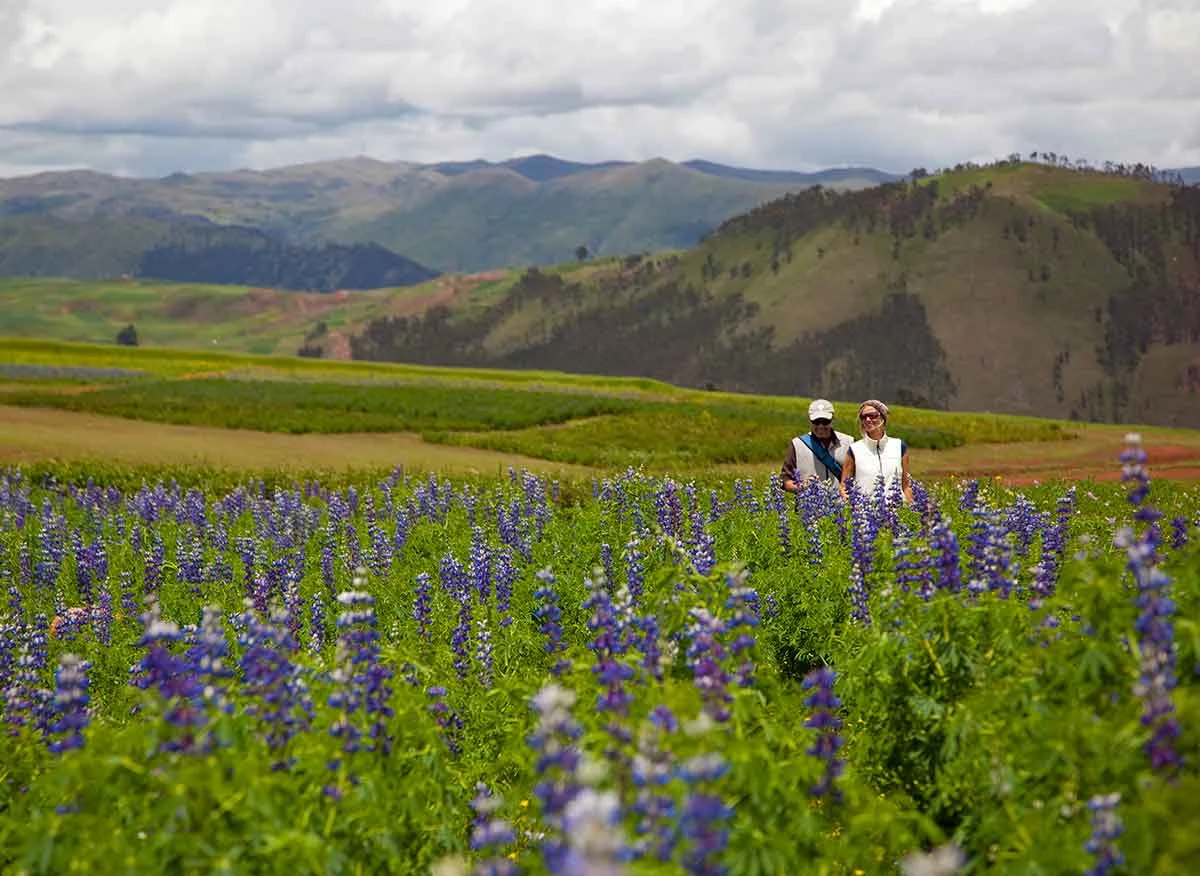 Turistas realizando caminata en el Valle Sagrado.