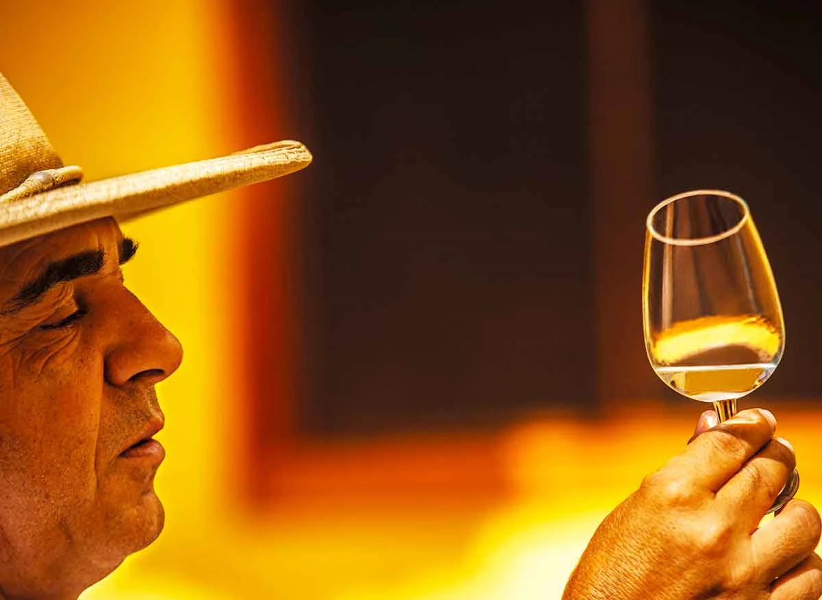 Cata de pisco en la bodega Viñas de Oro de la hacienda Hoja Redonda.