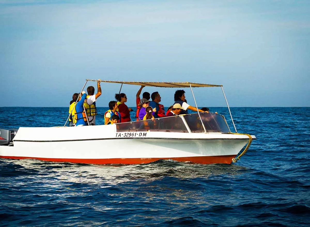 Yate con turistas en recorrido de avistamiento de ballenas jorobadas en Los Órganos