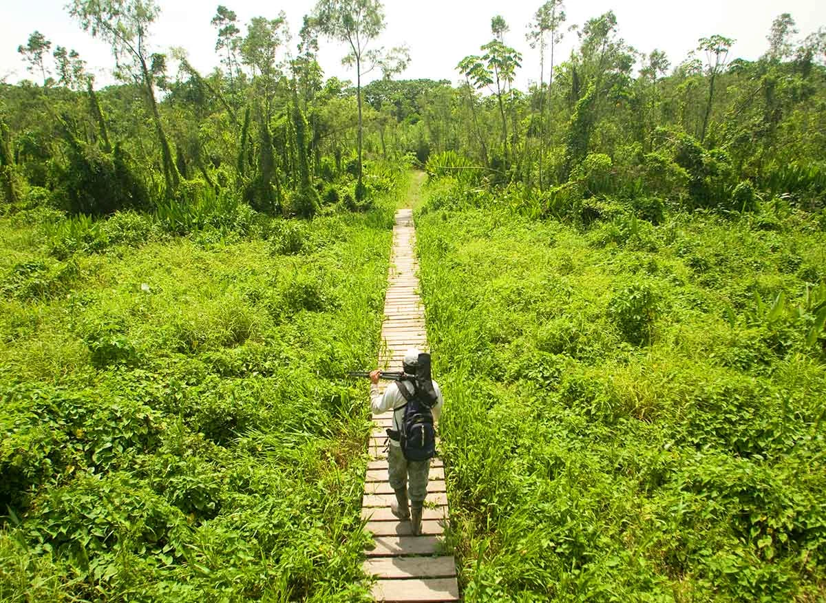 Parque Nacional del Manu