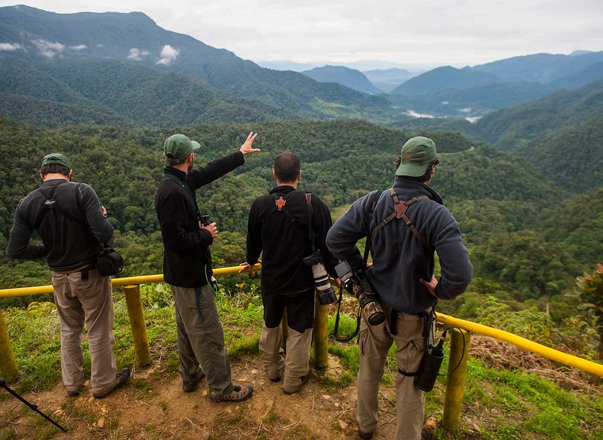 Mirador del Bosque de Protección Alto Mayo