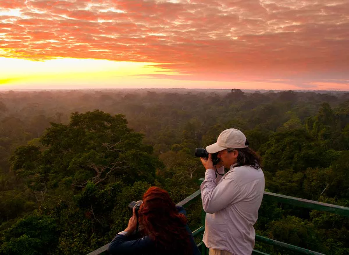 Turista en torre de observación en la zona de amortiguamiento de la Reserva Nacional Tambopata