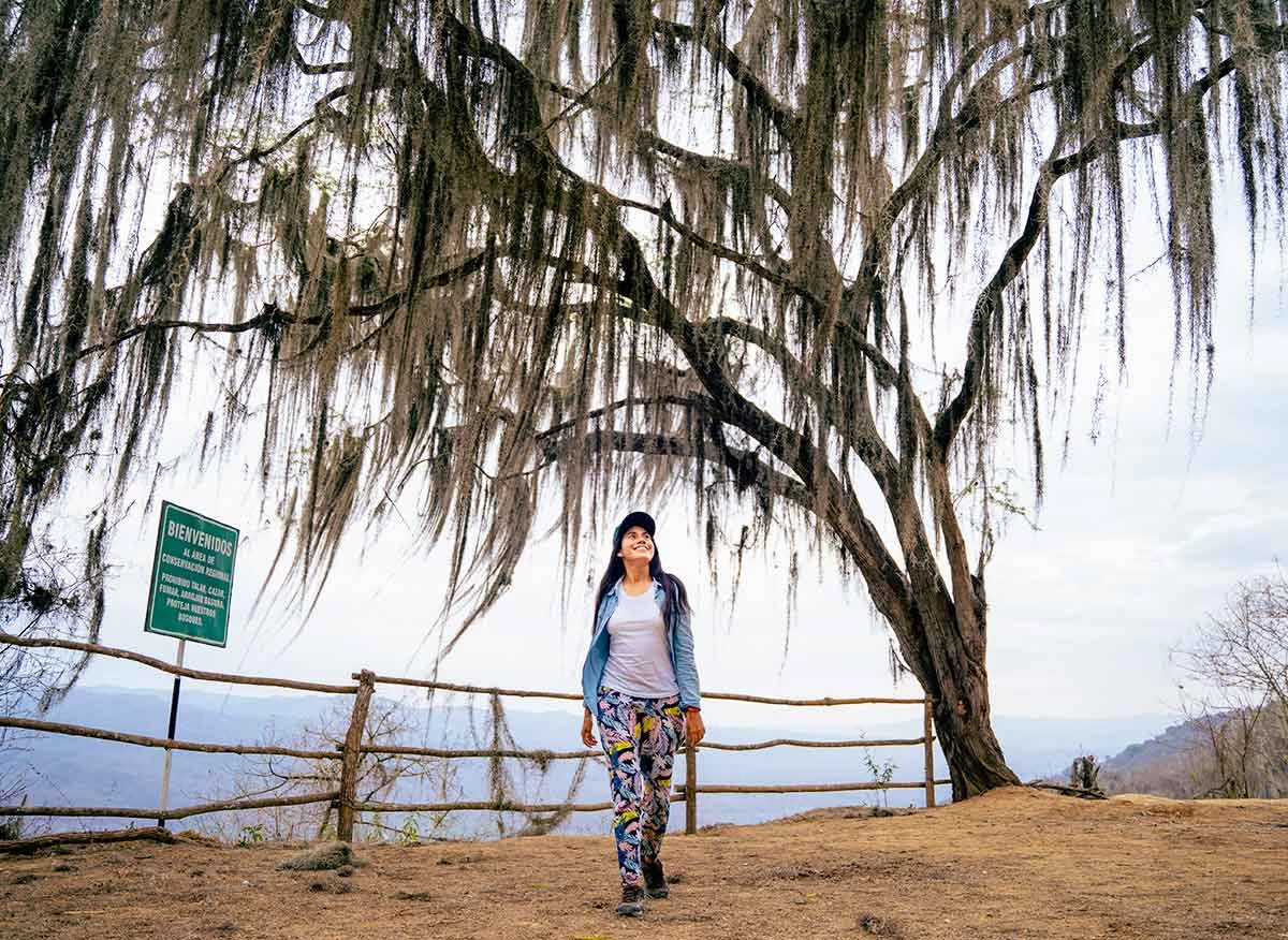 Parque Nacional Cerros de Amotape del distrito Pampas de Hospital