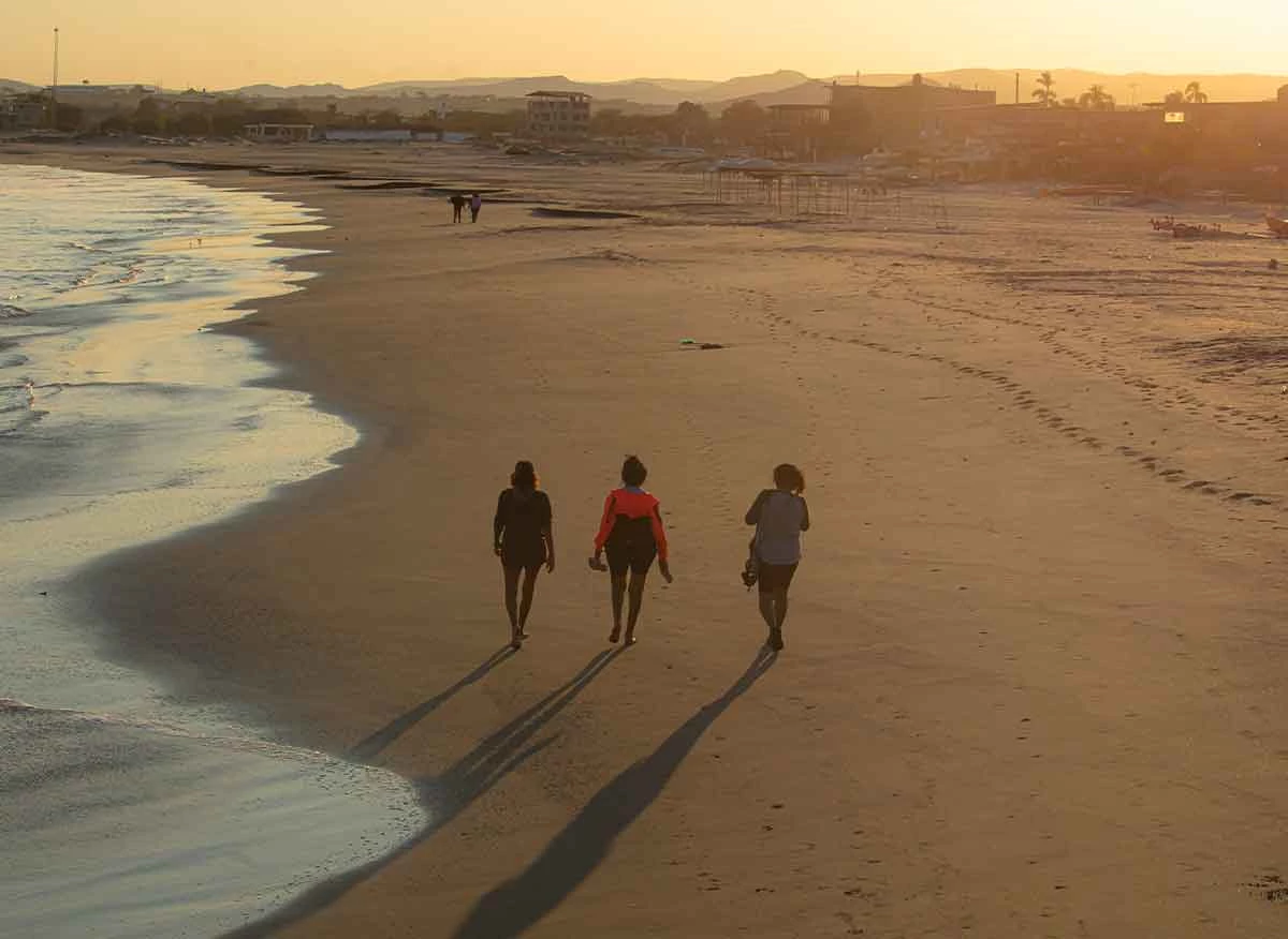 Playa Los Órganos