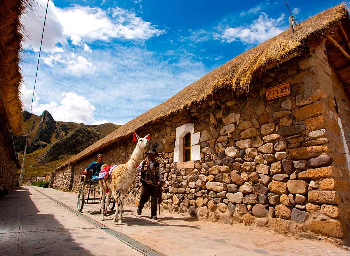 Paseo con llama en el Pueblo de Sibayo.