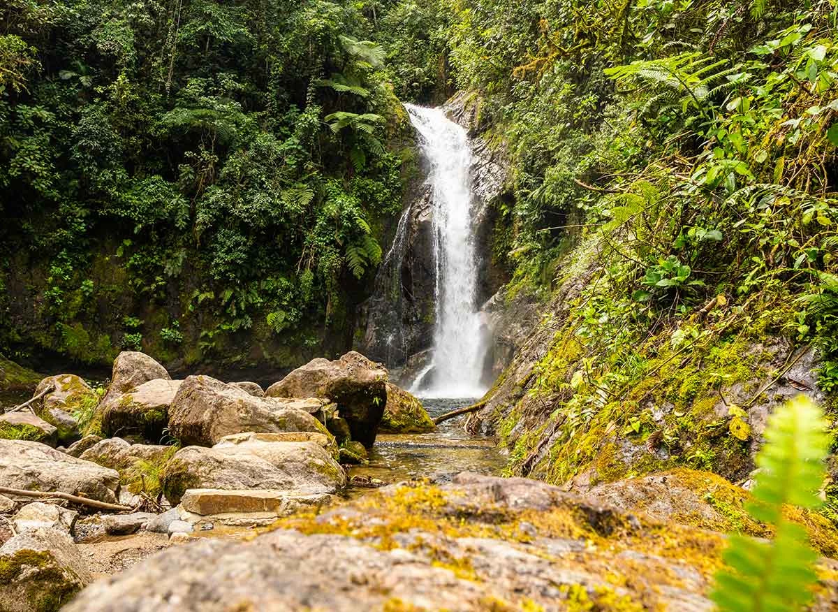 Catarata Gallito de las Rocas, distrito de Pampa Hermosa
