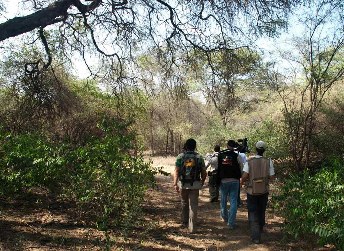 Santuario Histórico Bosque de Pómac