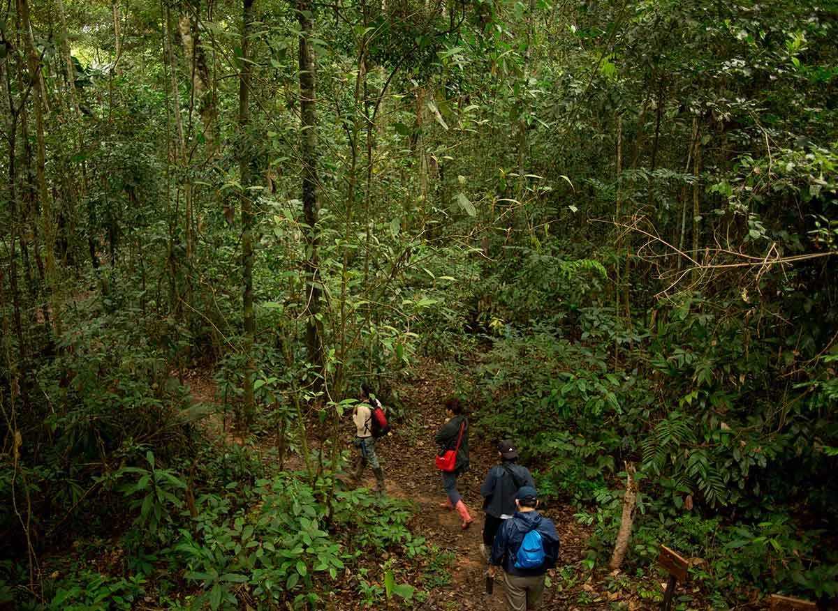 Turistas en la Reserva Nacional Tambopata.