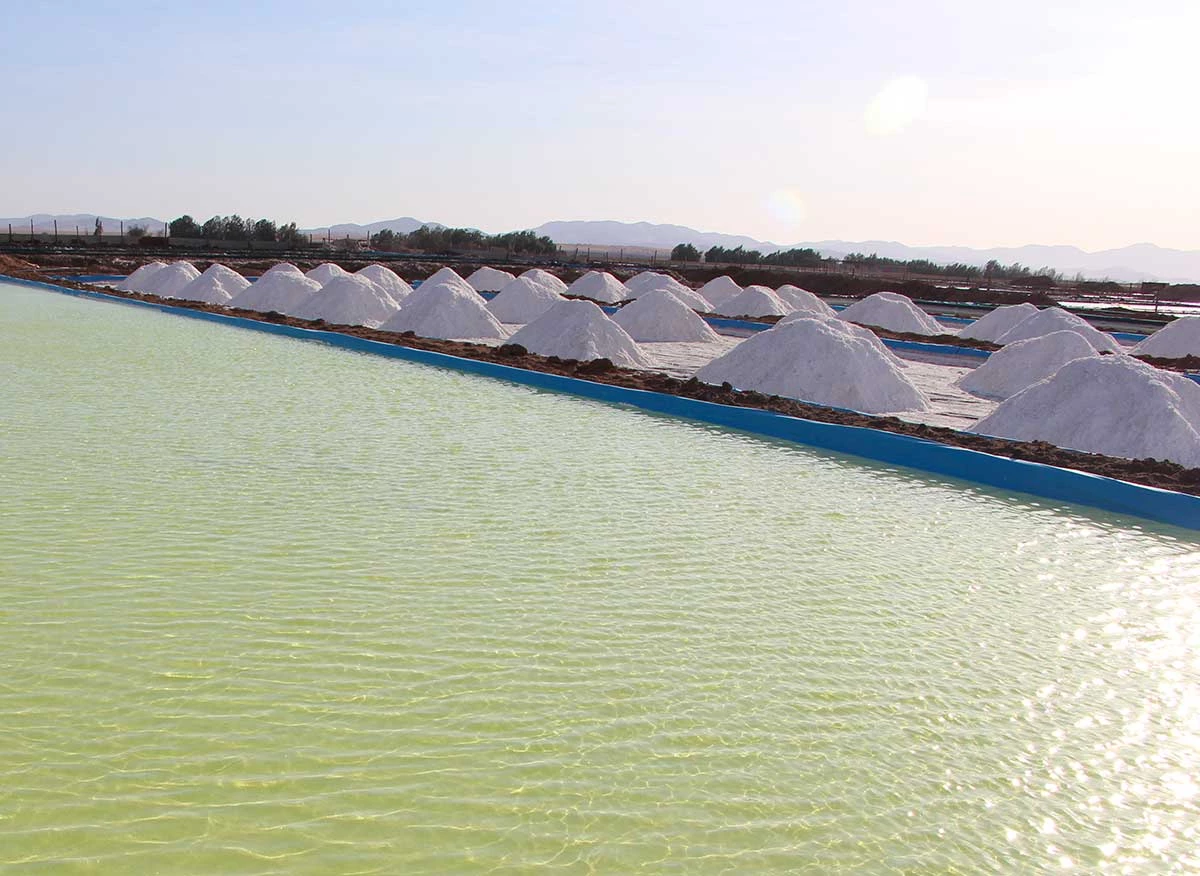 Salar de San Camilo