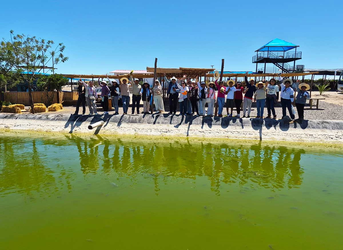 Salar de San Camilo