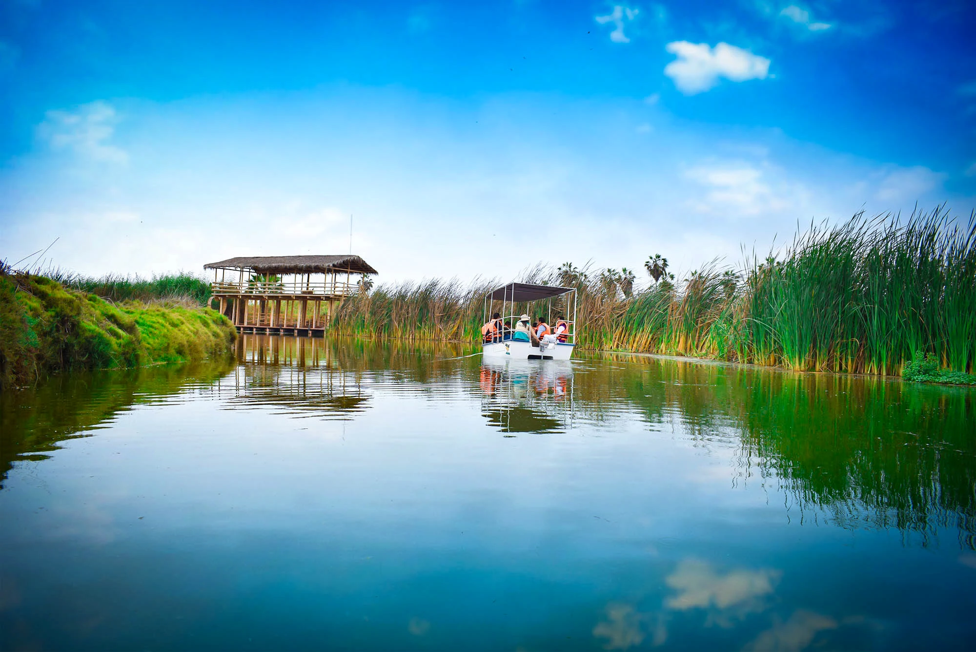 Humedales de los Pantanos de Villa