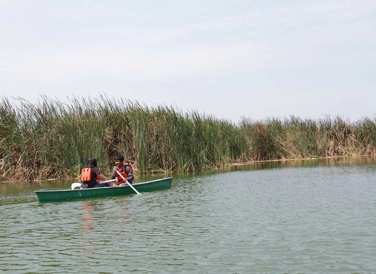 Paseo en bote en Pantanos de villa