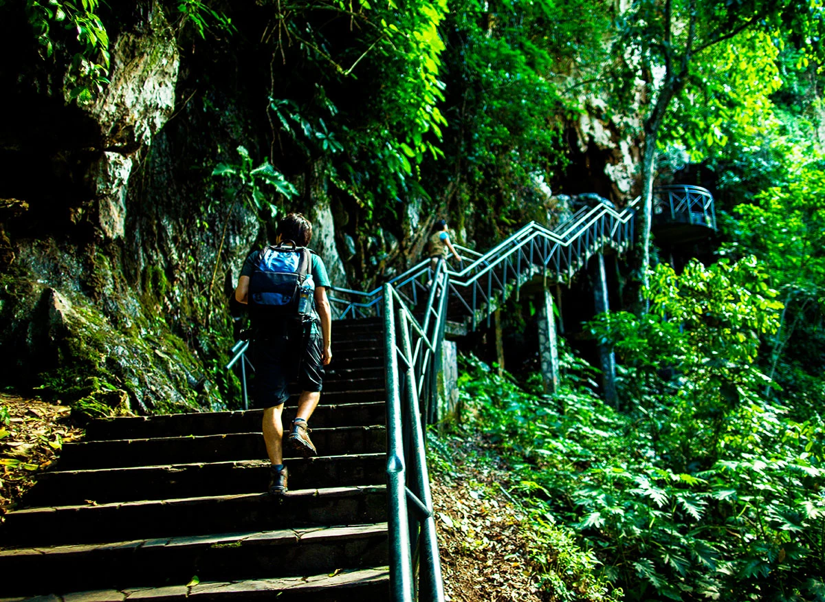 La Cueva de las Lechuzas. Parque Nacional Tingo María