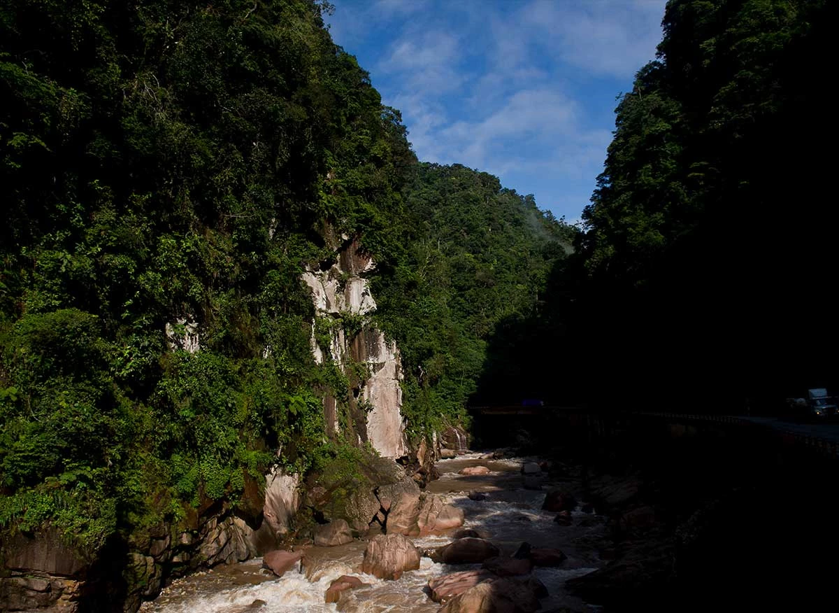 Parque Nacional Tingo María