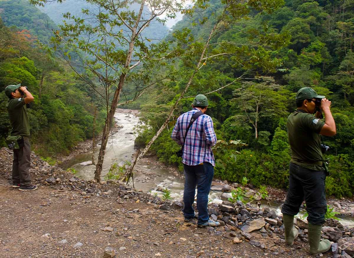 Observadores de aves en el Parque Nacional Yanachaga - Chemillén, dentro de la Reserva de Biósfera Oxapampa-Asháninka-Yánesha.