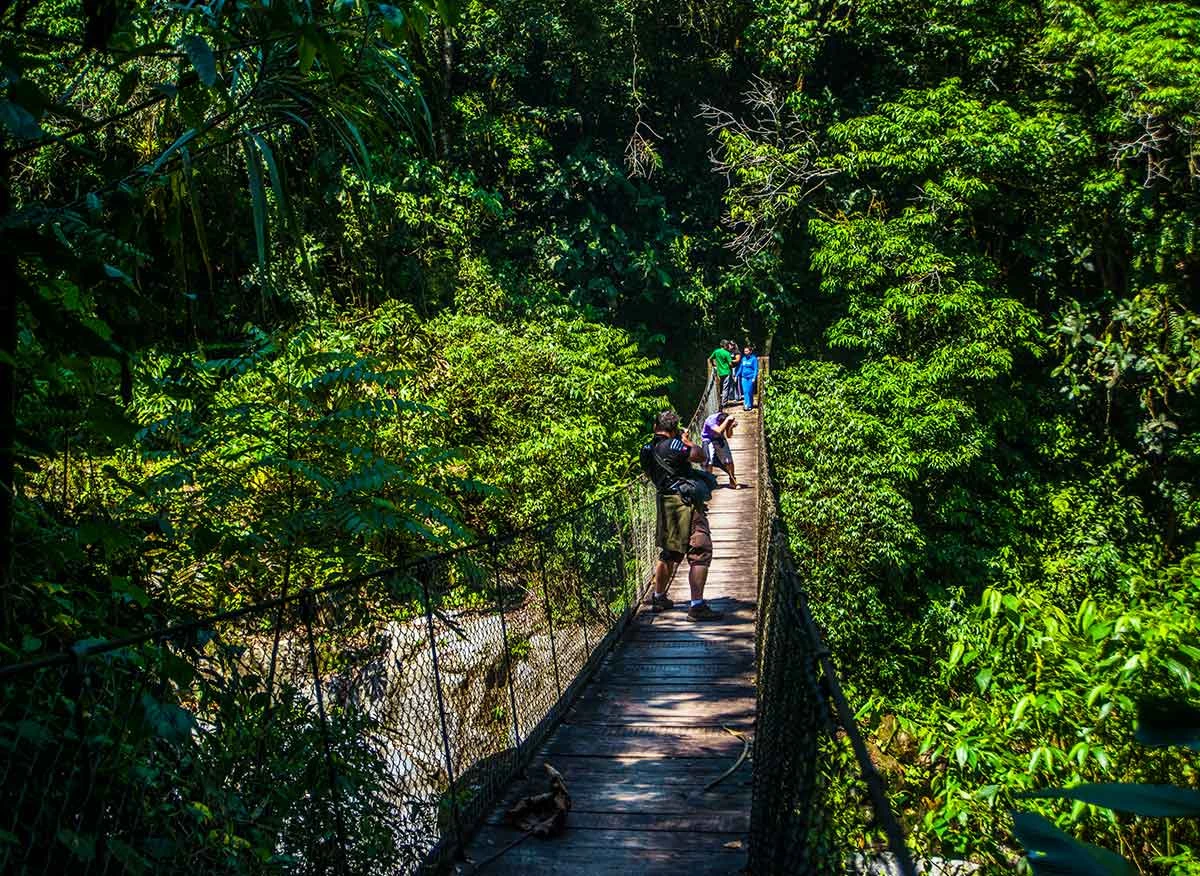 Turistas en puente colgante. Parque Nacional Yanachaga-Chemillén.