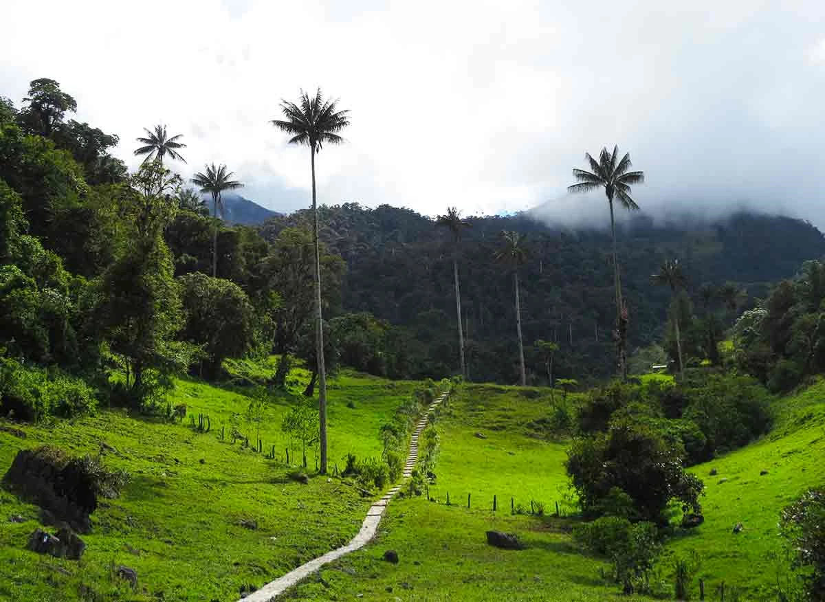 Parque Nacional Cutervo (Créditos SERNANP Cutervo)