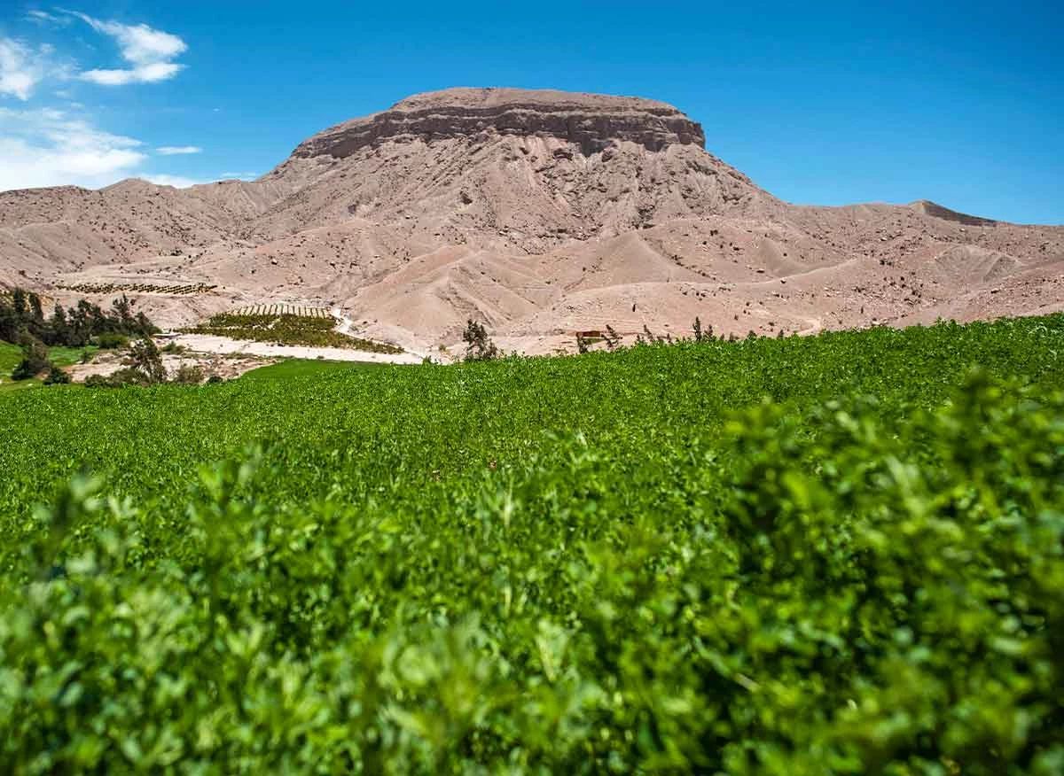 Vista del Cerro Baúl, en el distrito de Torata.