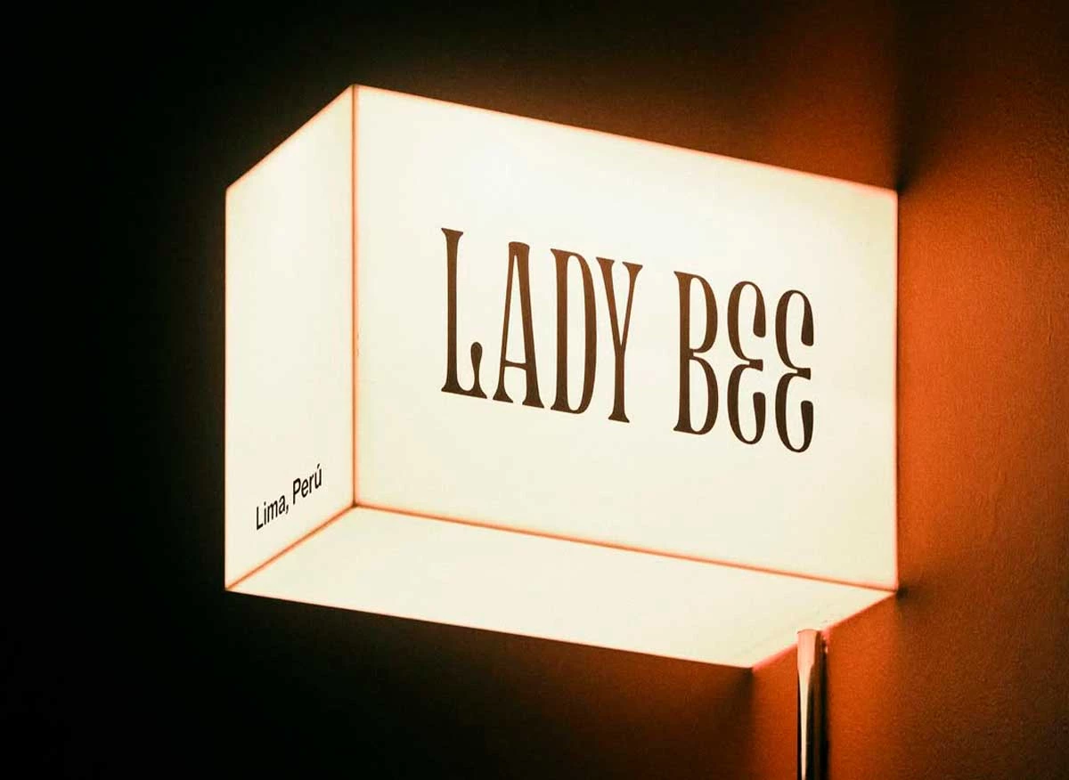 © Lady Bee Créditos: @camilanovoaok